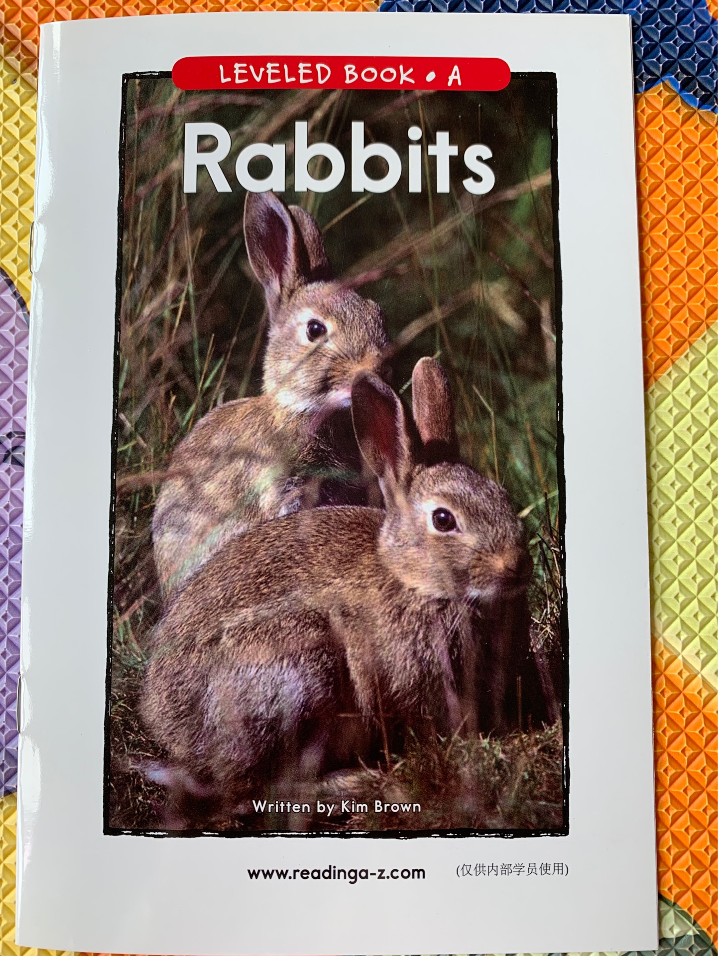 Rabbits