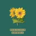 璐穎