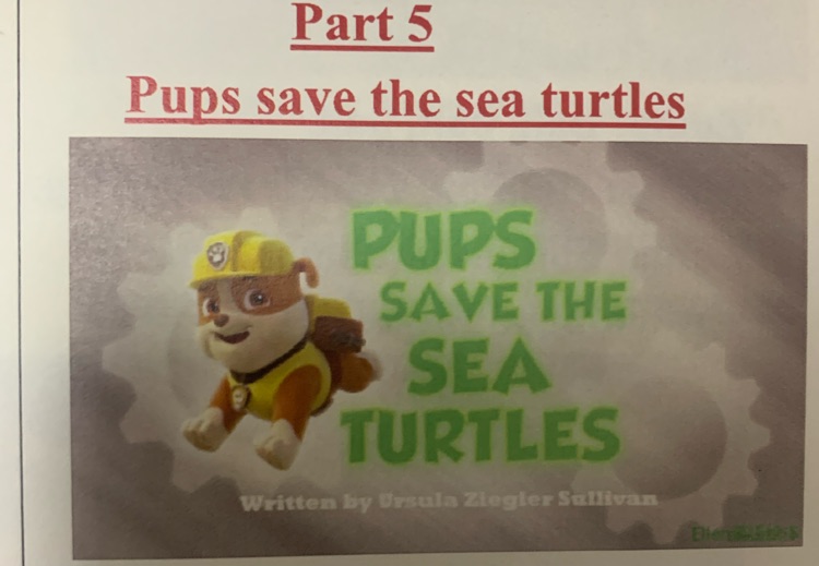 Pups save the sea turtle