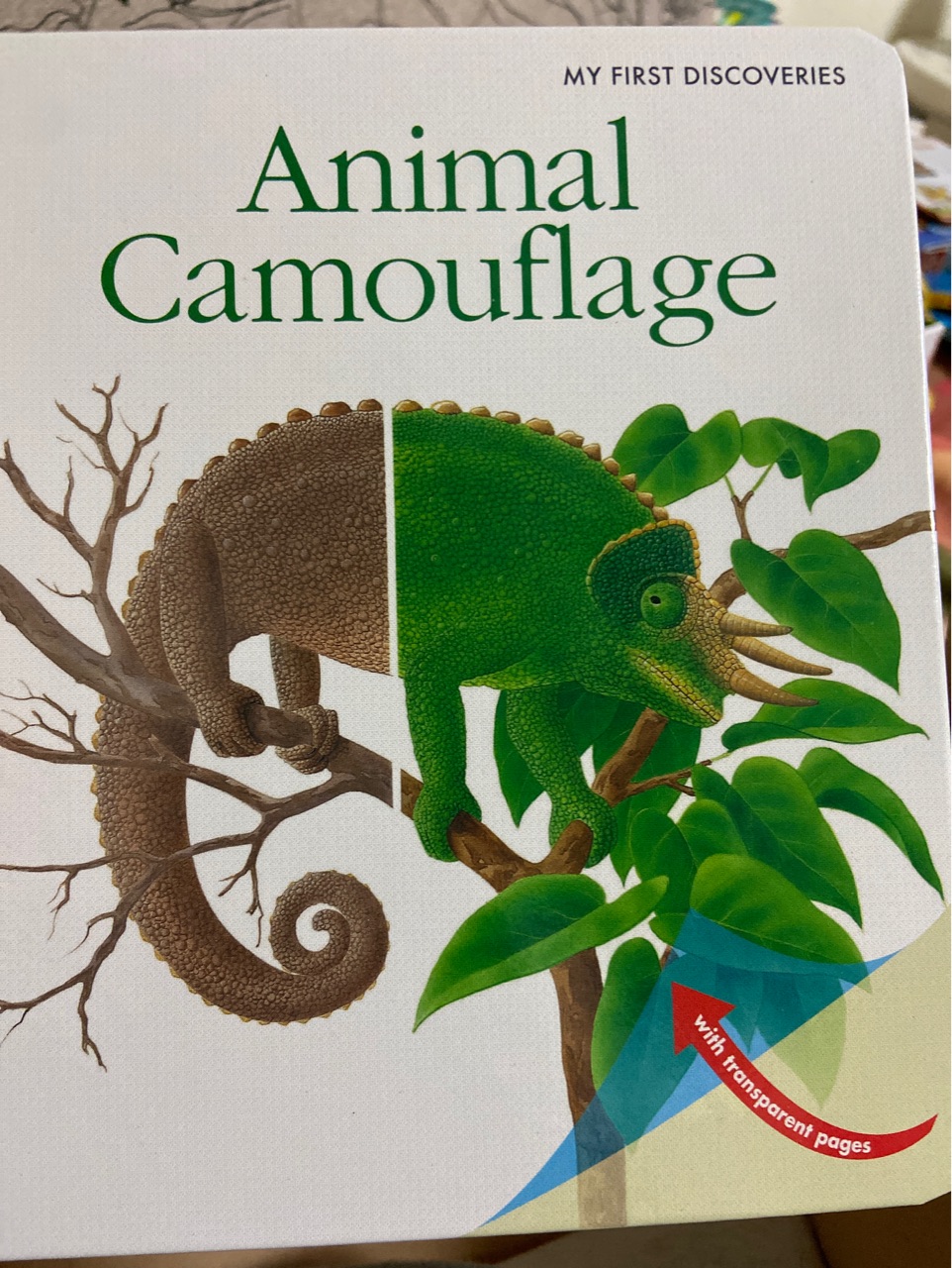 Animal camouflage