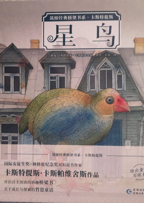 筑橋經(jīng)典橋梁書系·卡斯特提斯(6冊(cè)套)