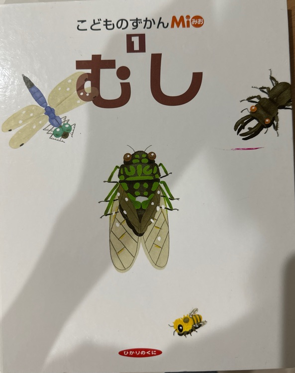 こどものずかん むし