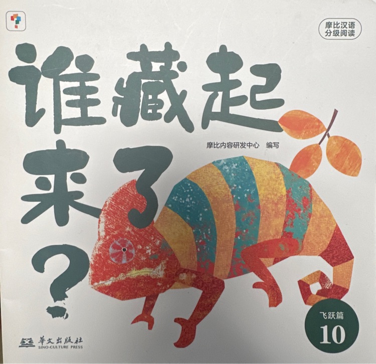 誰藏起來了?