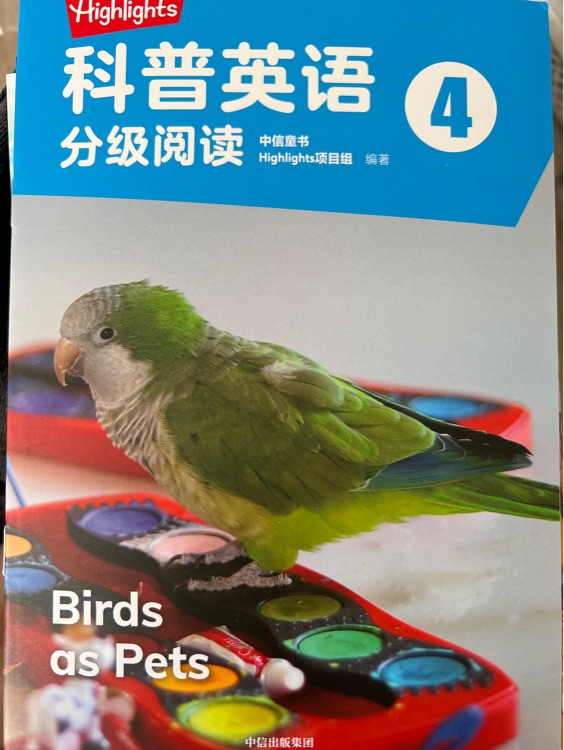 Birds as pets