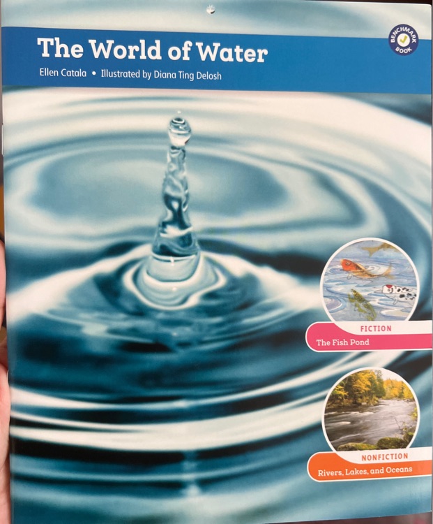 The world of water