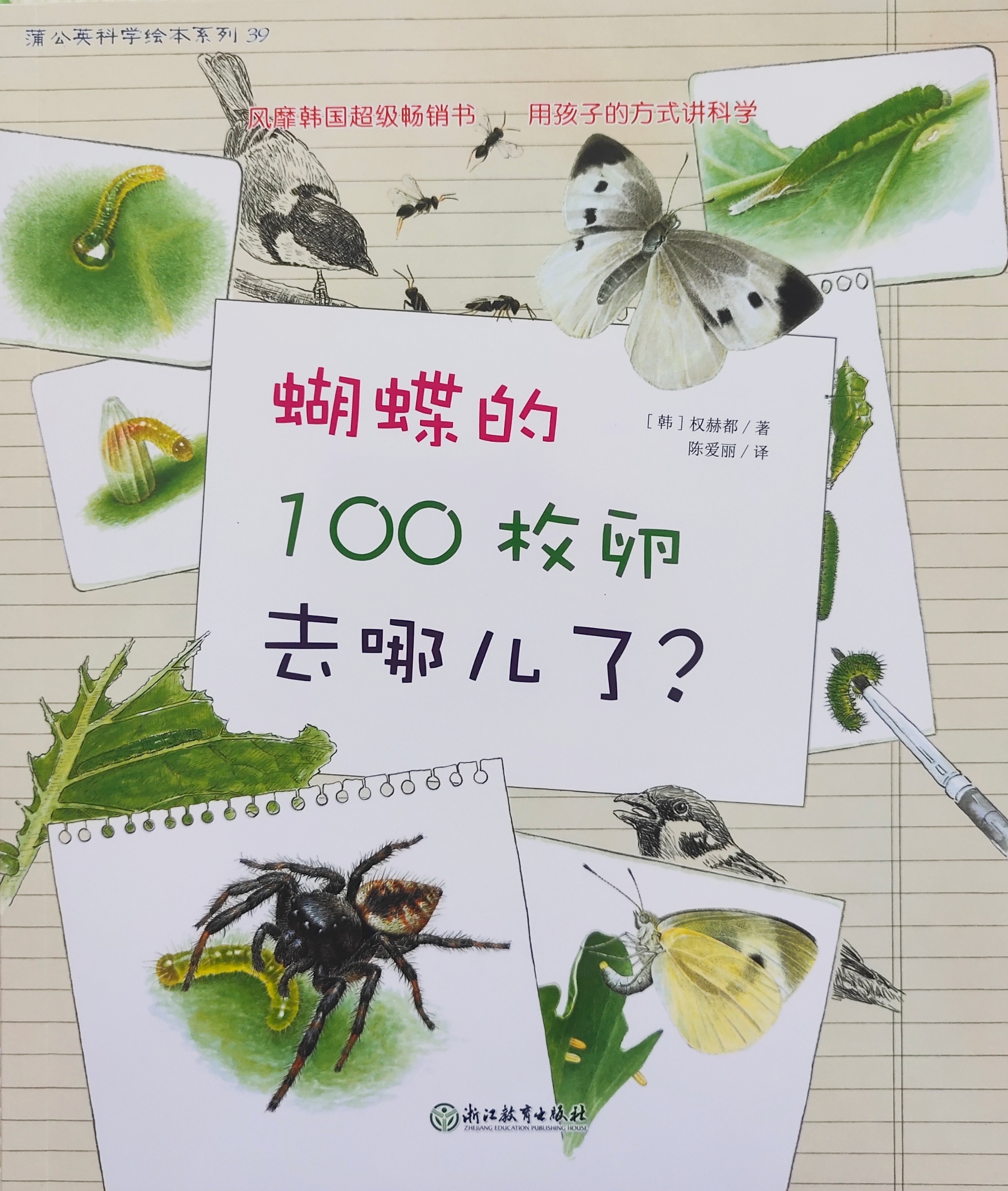 蒲公英科學(xué)繪本系列39: 蝴蝶的100枚卵去哪兒了?