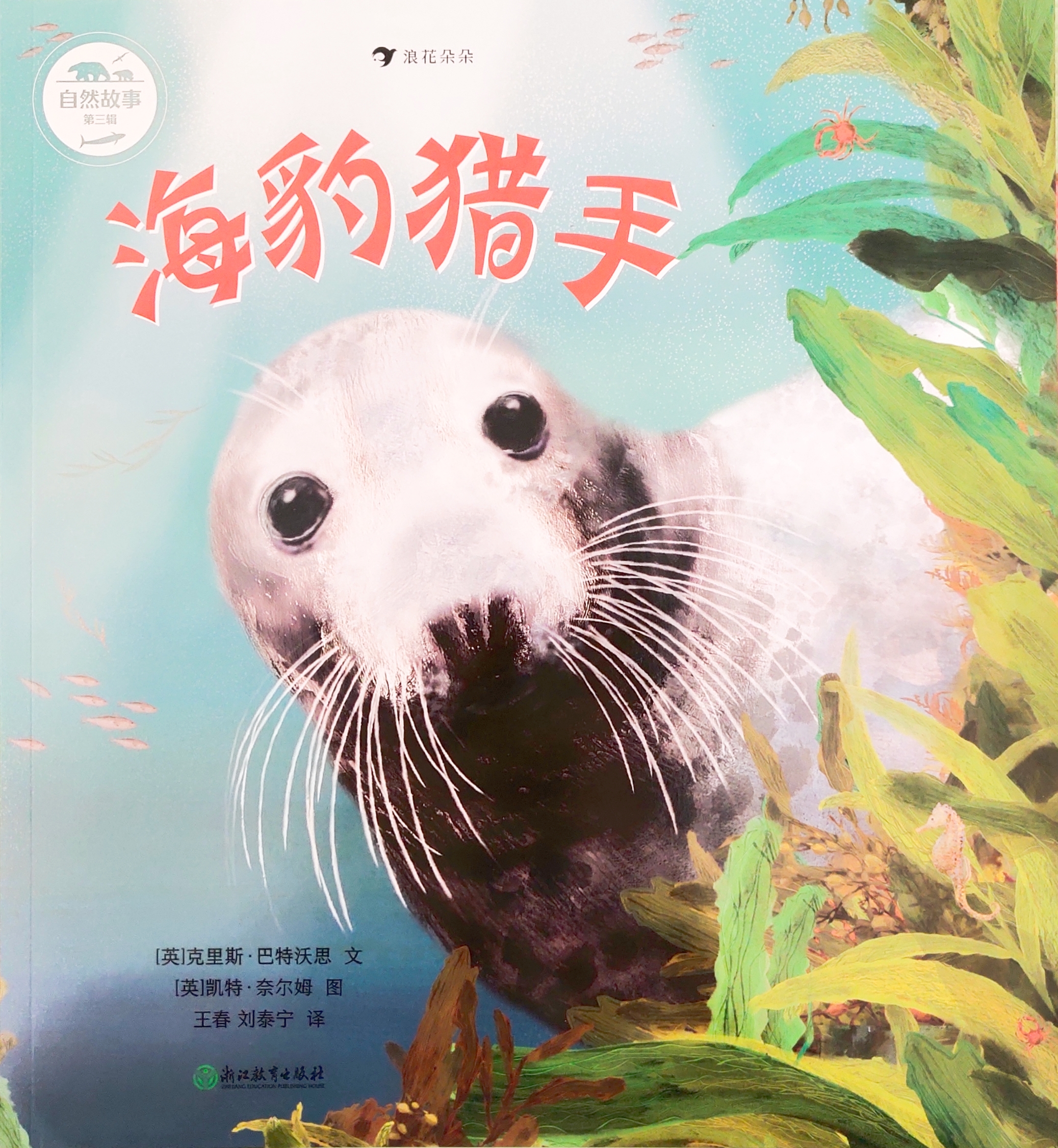 海豹獵手