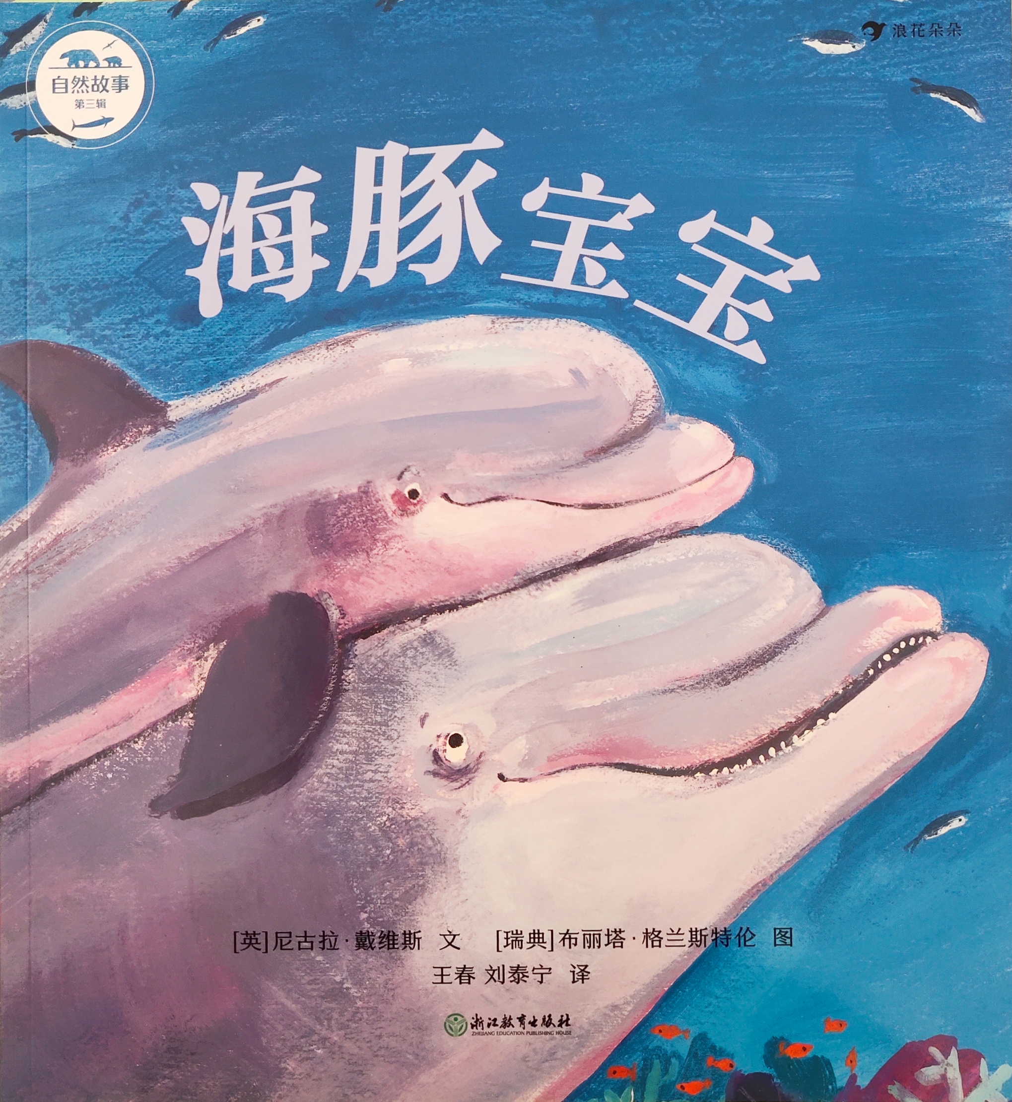 海豚寶寶