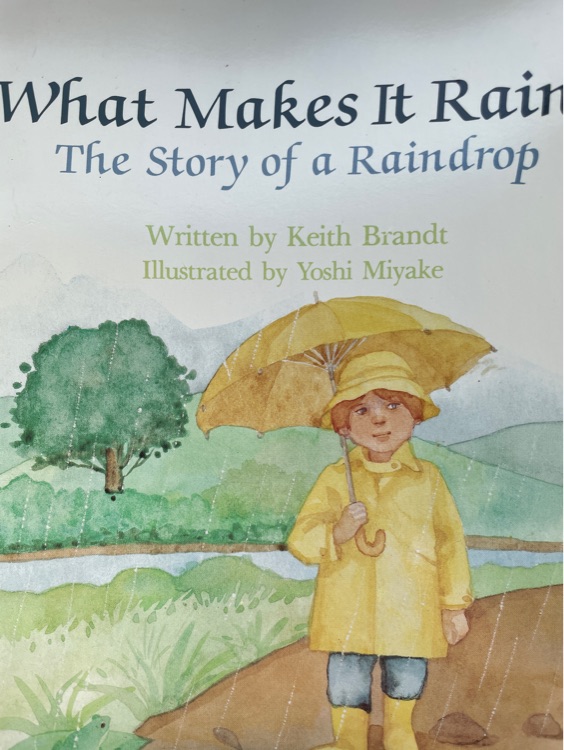 What Makes It Rain