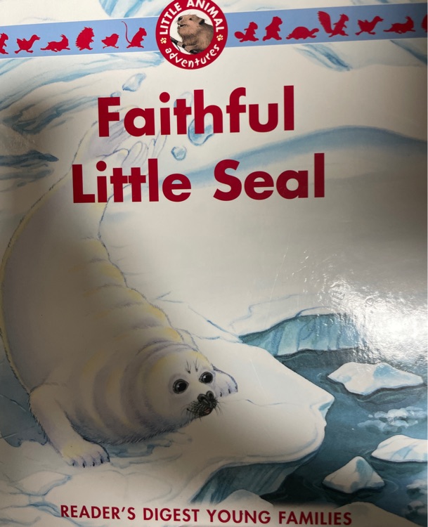 Faithful Little Seal