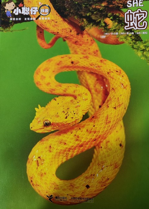 蛇