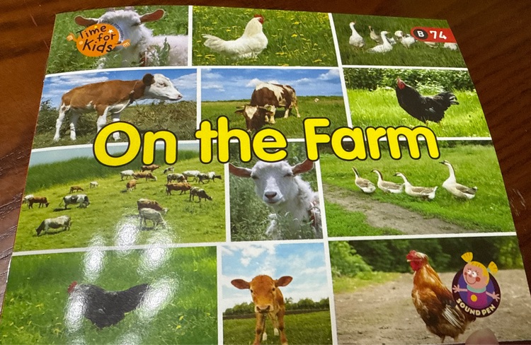 On the farm