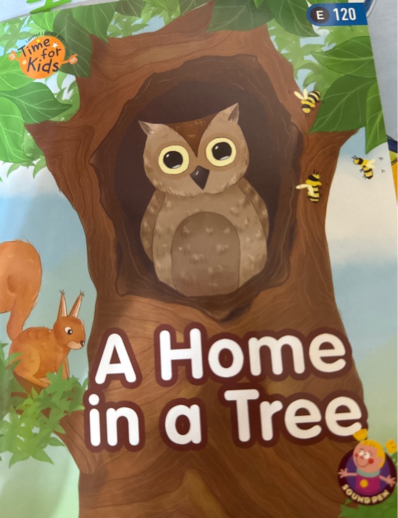 A Home in a tree