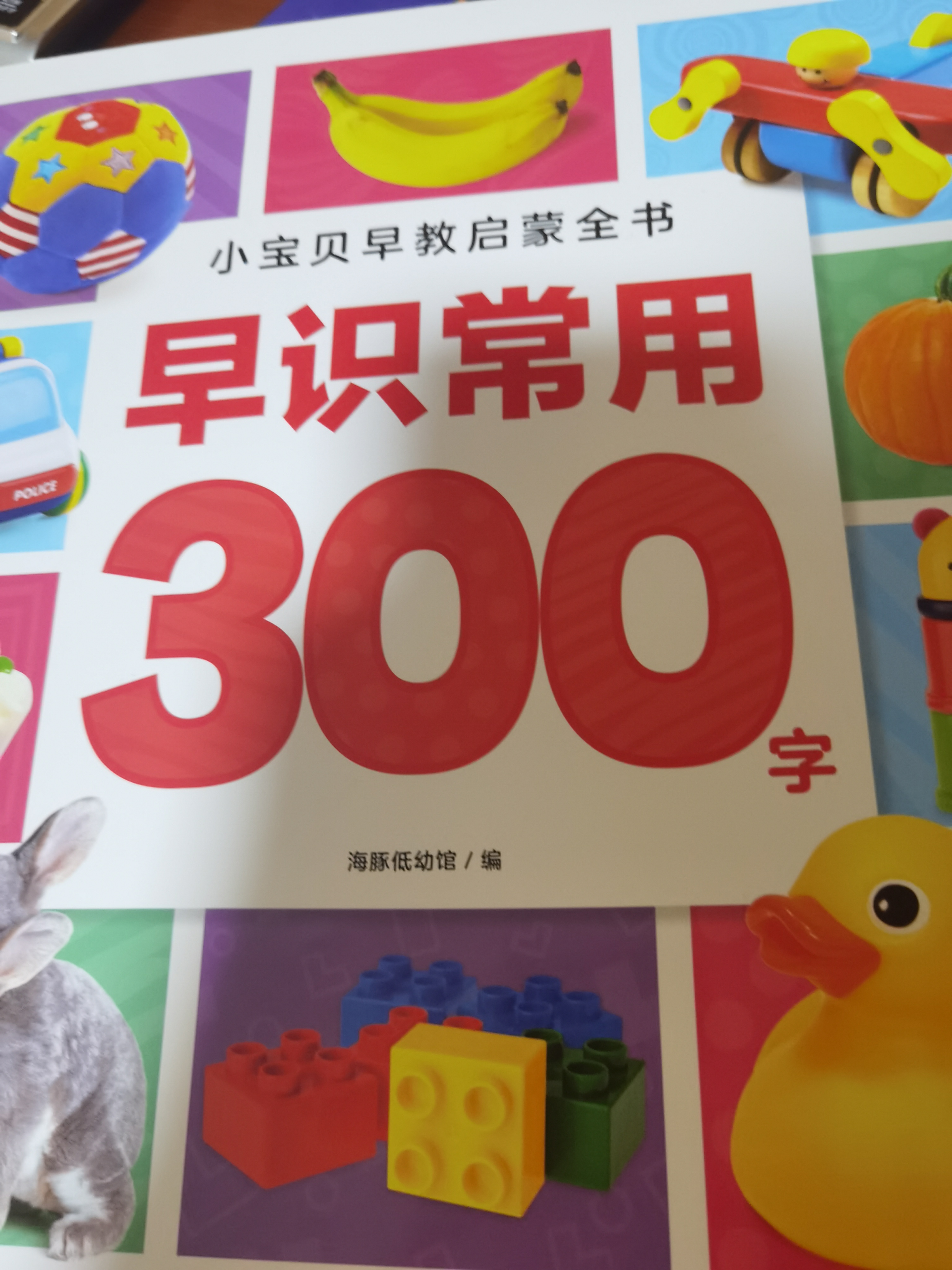 早識(shí)常用300字