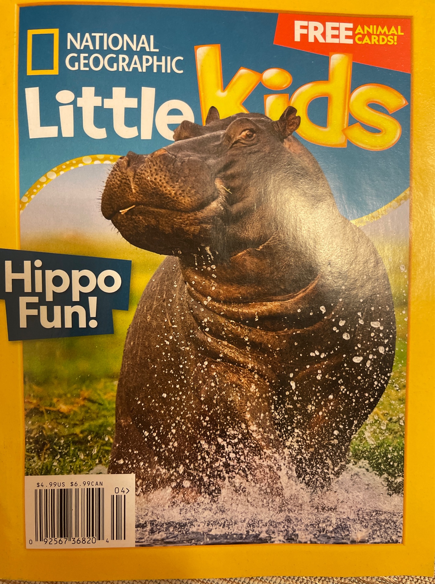 NG Little kids-hippo fun