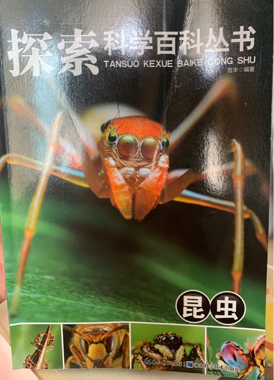 探索科學(xué)百科叢書-昆蟲