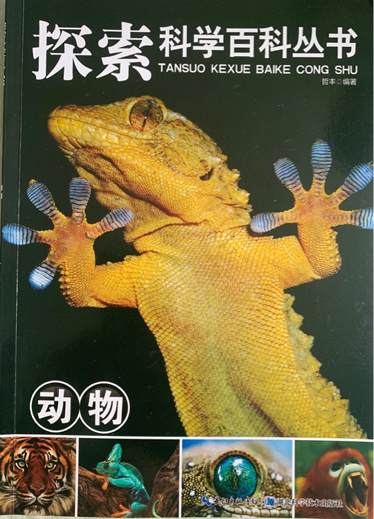 探索科學(xué)百科叢書-動物
