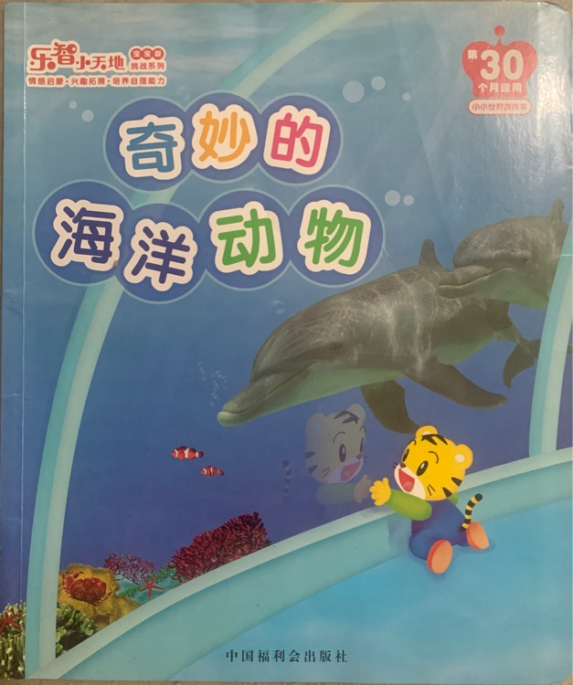 奇妙的海洋動物