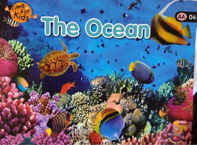 The Ocean