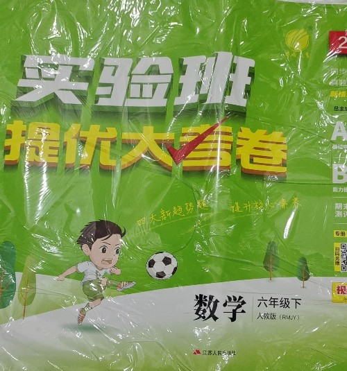 實(shí)驗(yàn)班提優(yōu)大考卷六下數(shù)學(xué)