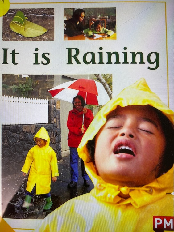 It is Raining PM PLUS Level 8&9 the Environment Non Fiction Yellow