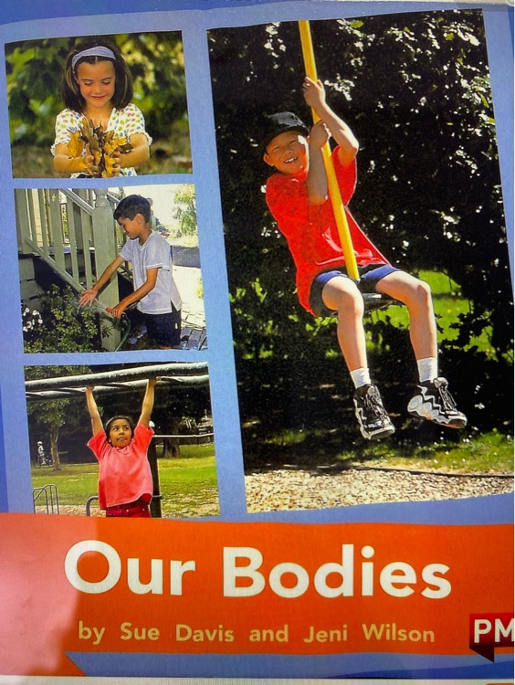 Our Bodies PM Plus Non Fiction Level 16&17 Orange