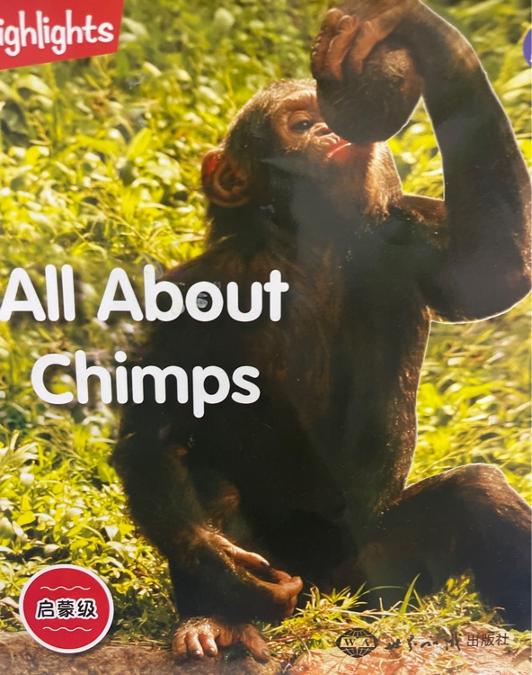 All about chimps