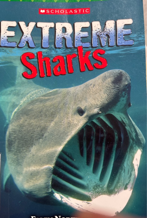 Extreme sharks