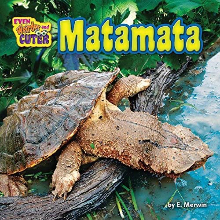 Matamata