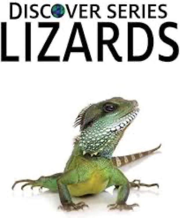 Lizards