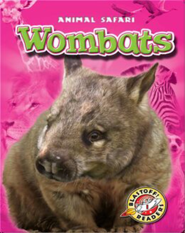 Wombats