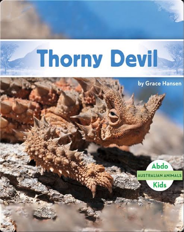 Thorny Devil (Australian Animals)