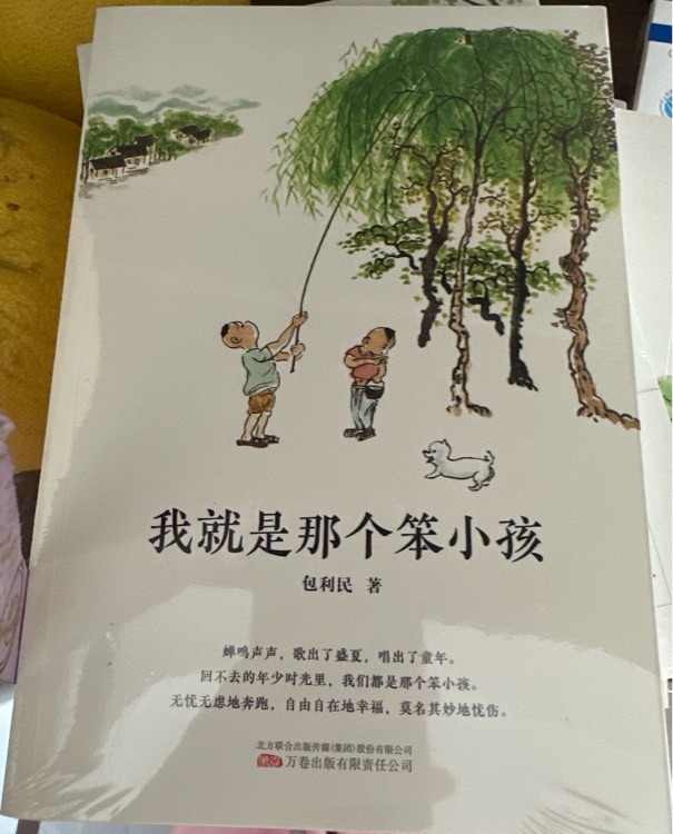 我就是那個(gè)笨小孩