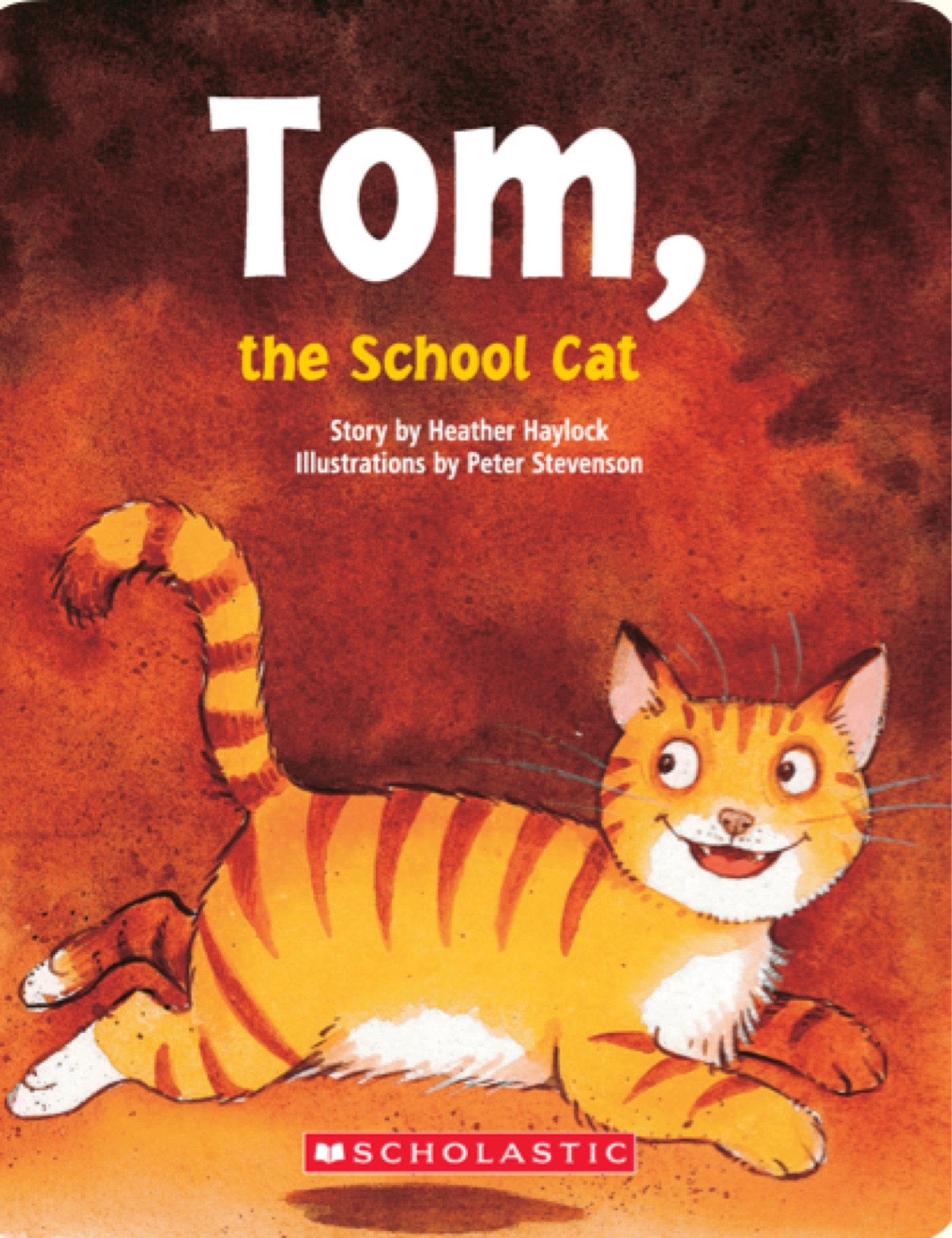 Tom,the school cat