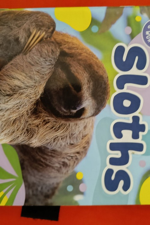 sloths