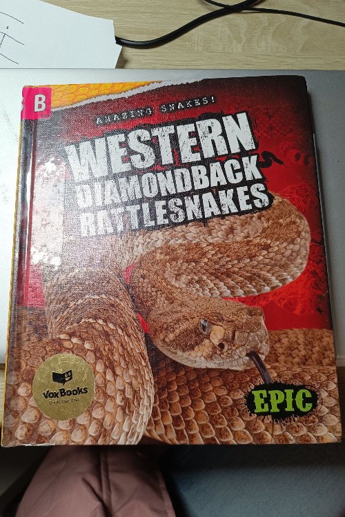 western diamondback rattlesnake