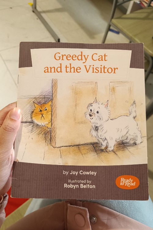 greedycat and the visitor