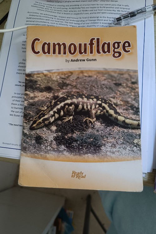 camouflage