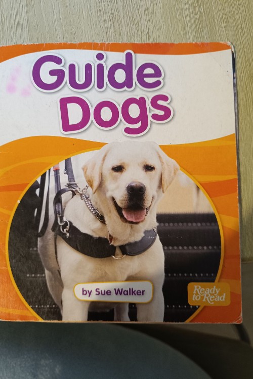 guide dogs