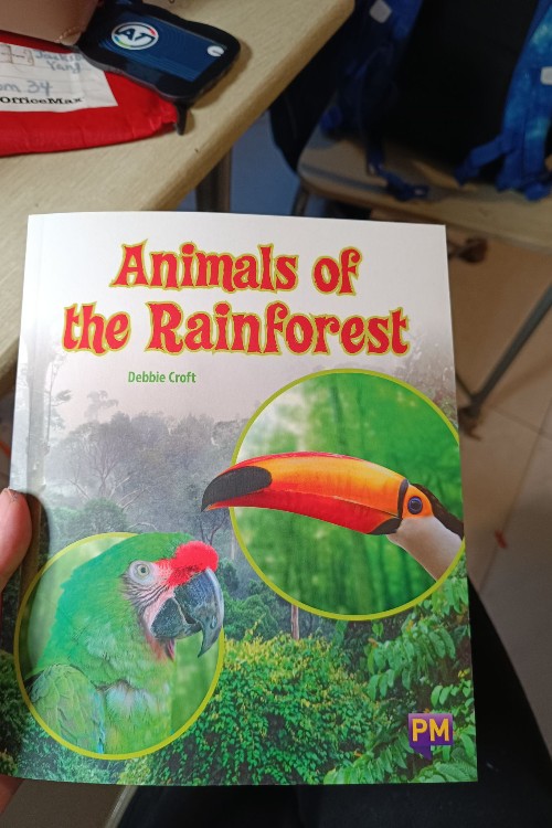 animals of the rainforest