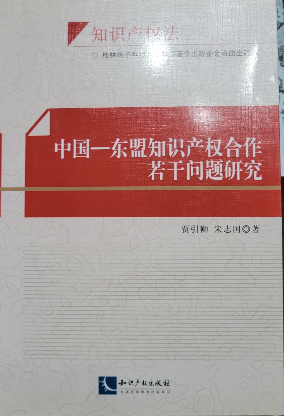 中國-東盟知識(shí)產(chǎn)權(quán)合作若干問題研究