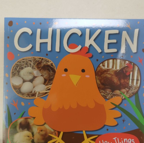 chicken