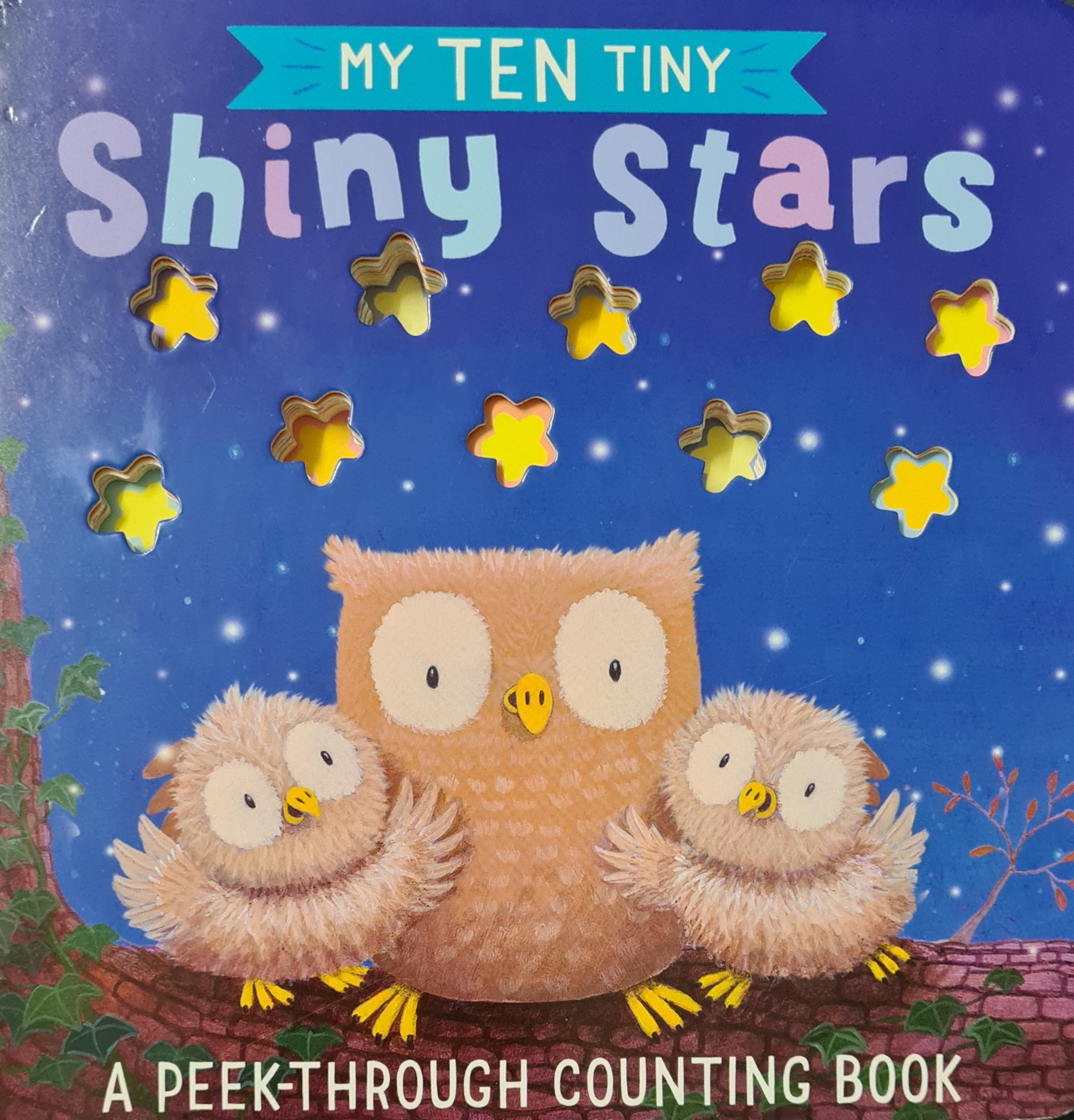 my ten tiny shiny stars