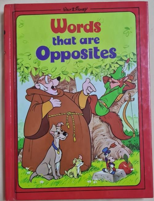 Words that are opposites