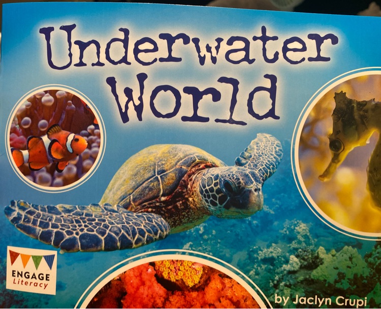 Under water world