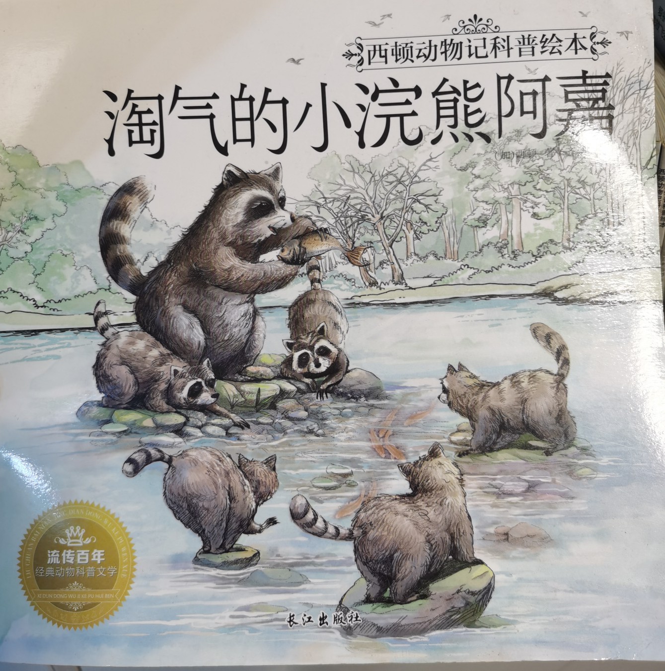淘氣的小浣熊阿嘉