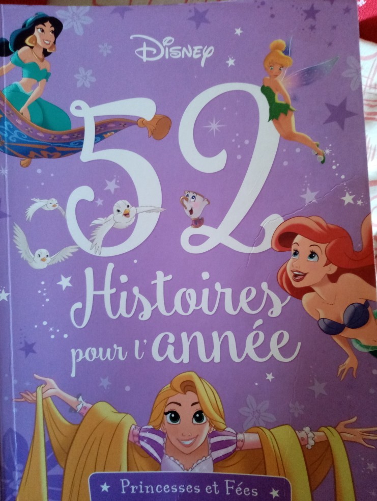 50 histoires princesse et fee