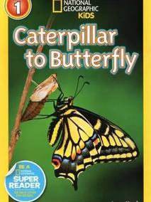 National Geographic Readers Level 1: Caterpillar to Butterfly