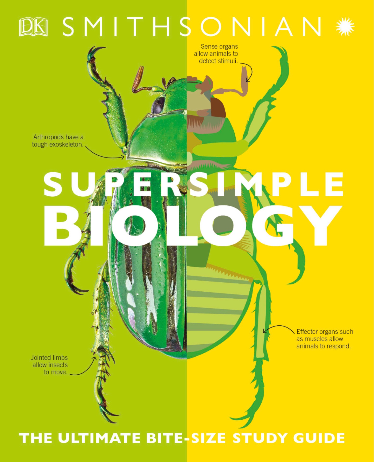 Supersimple: Biology