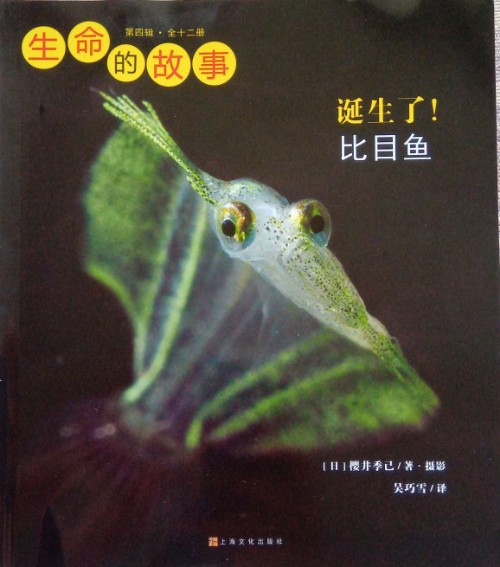 生命的故事第四輯: 誕生了! 比目魚